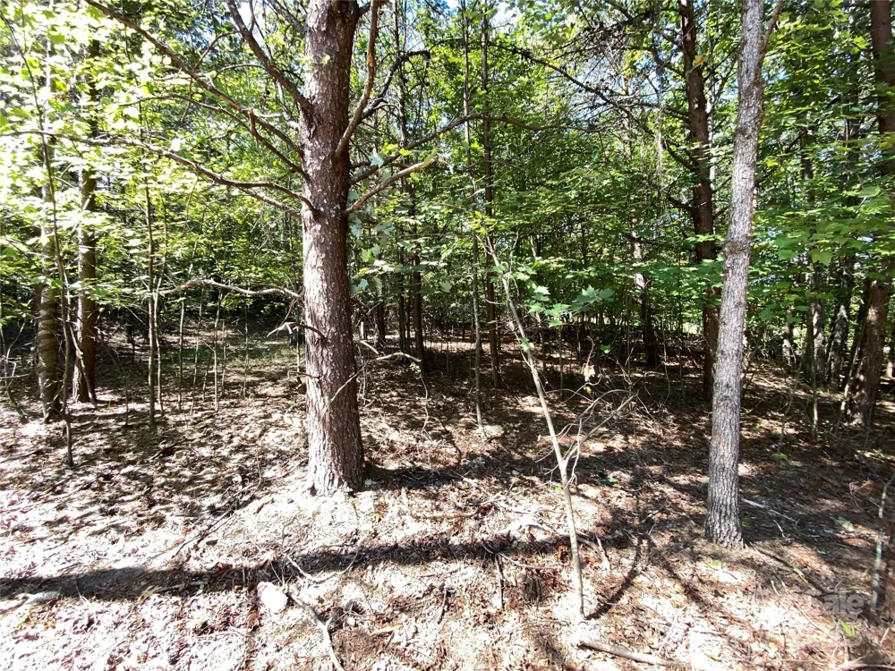 9999 Ridge Way #3 Marion, NC 28752