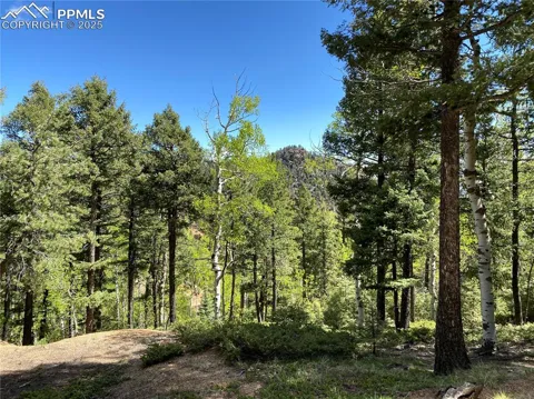 210 Waterfall Loop