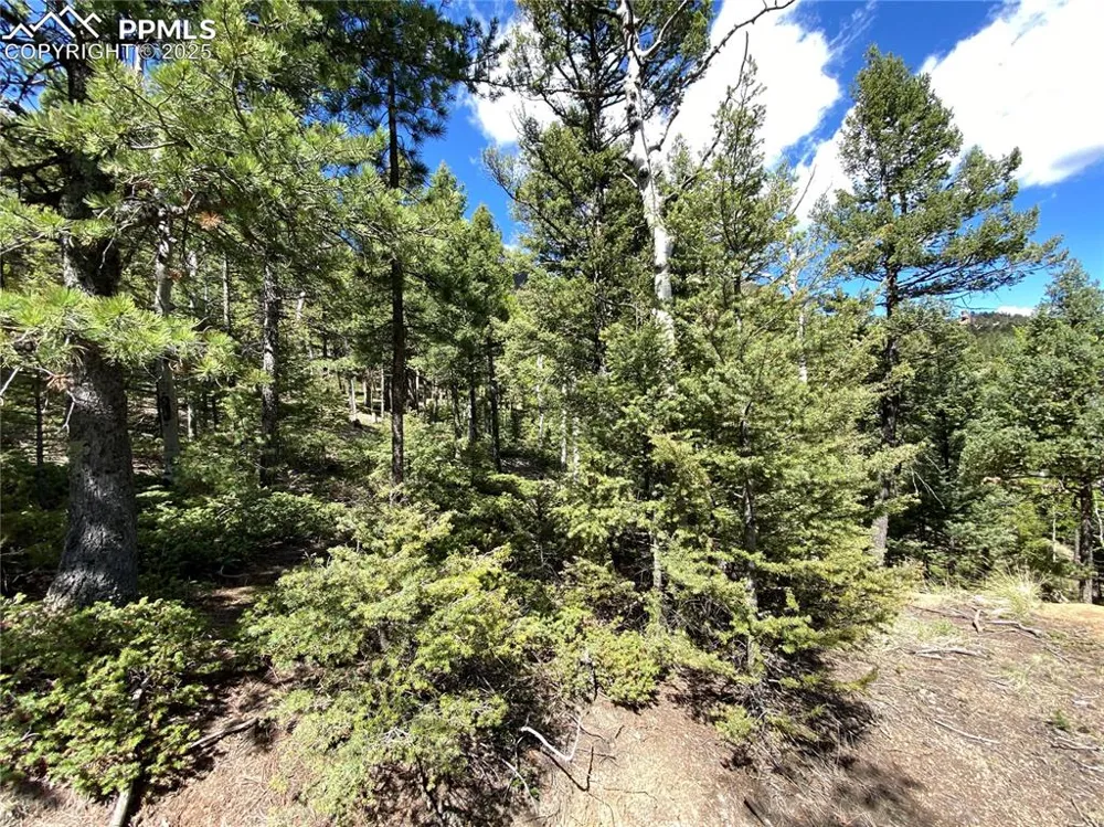 210 Waterfall Loop Manitou Springs, CO 80829