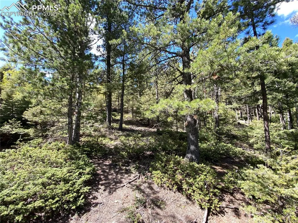 210 Waterfall Loop Manitou Springs, CO 80829