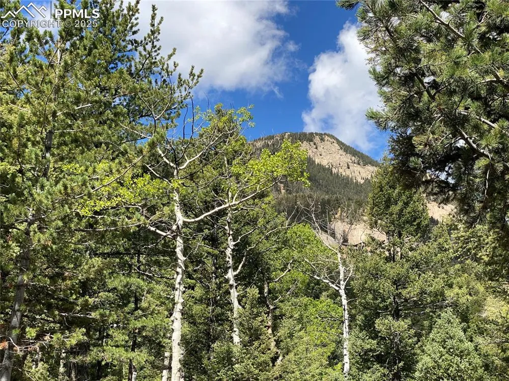 210 Waterfall Loop Manitou Springs, CO 80829