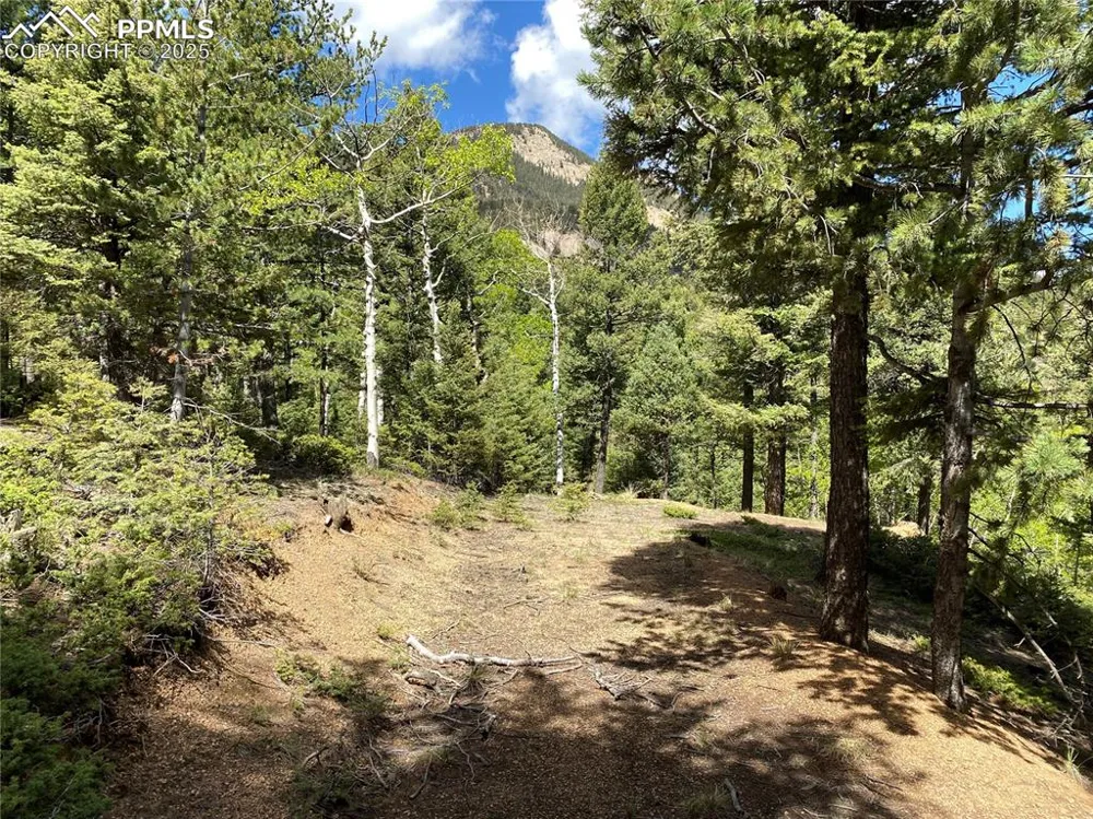 210 Waterfall Loop Manitou Springs, CO 80829