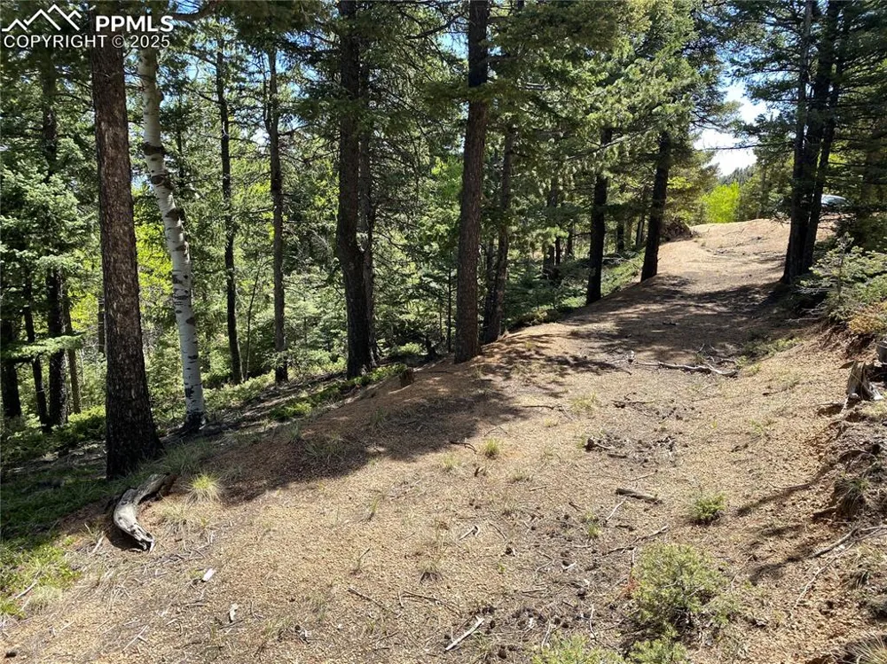 210 Waterfall Loop Manitou Springs, CO 80829