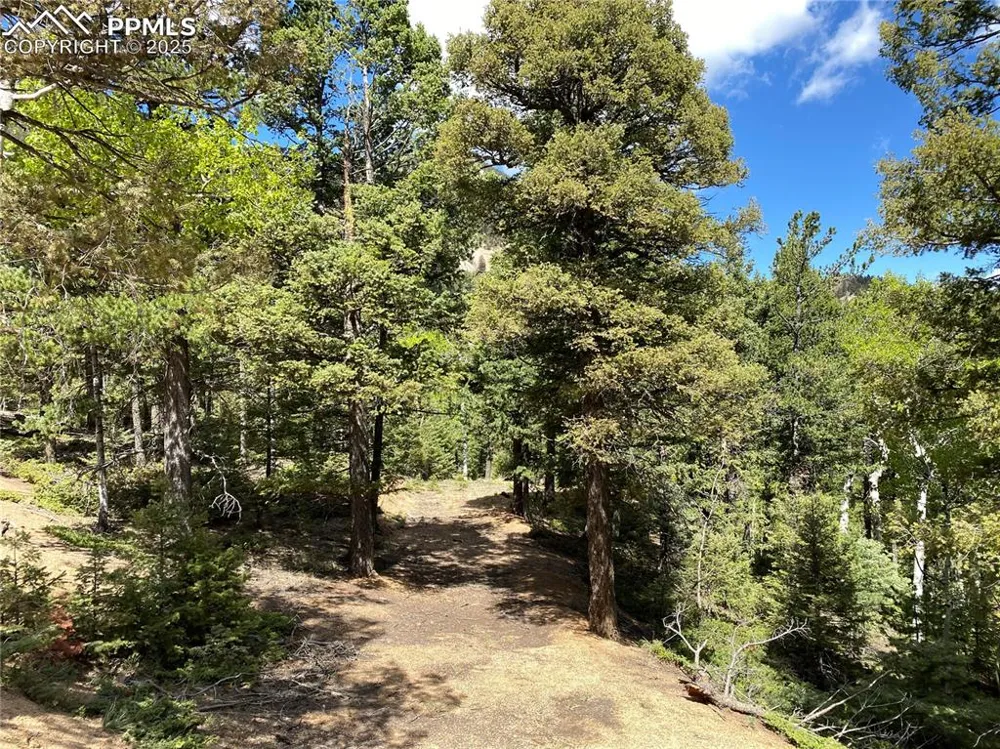 210 Waterfall Loop Manitou Springs, CO 80829