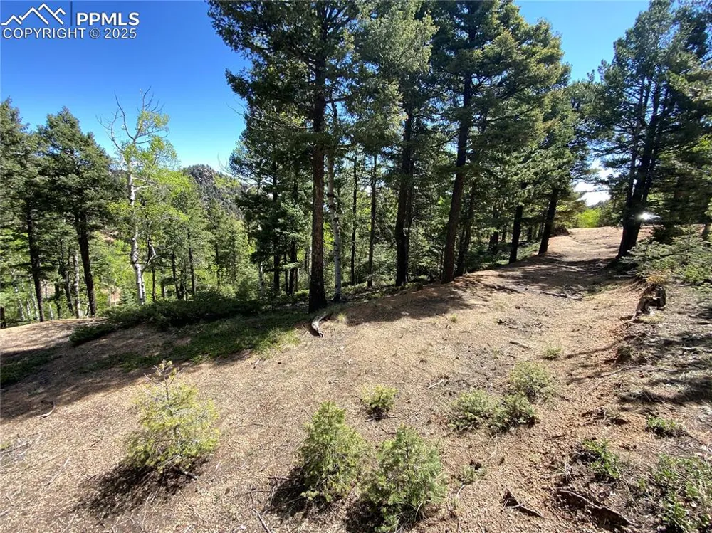 210 Waterfall Loop Manitou Springs, CO 80829