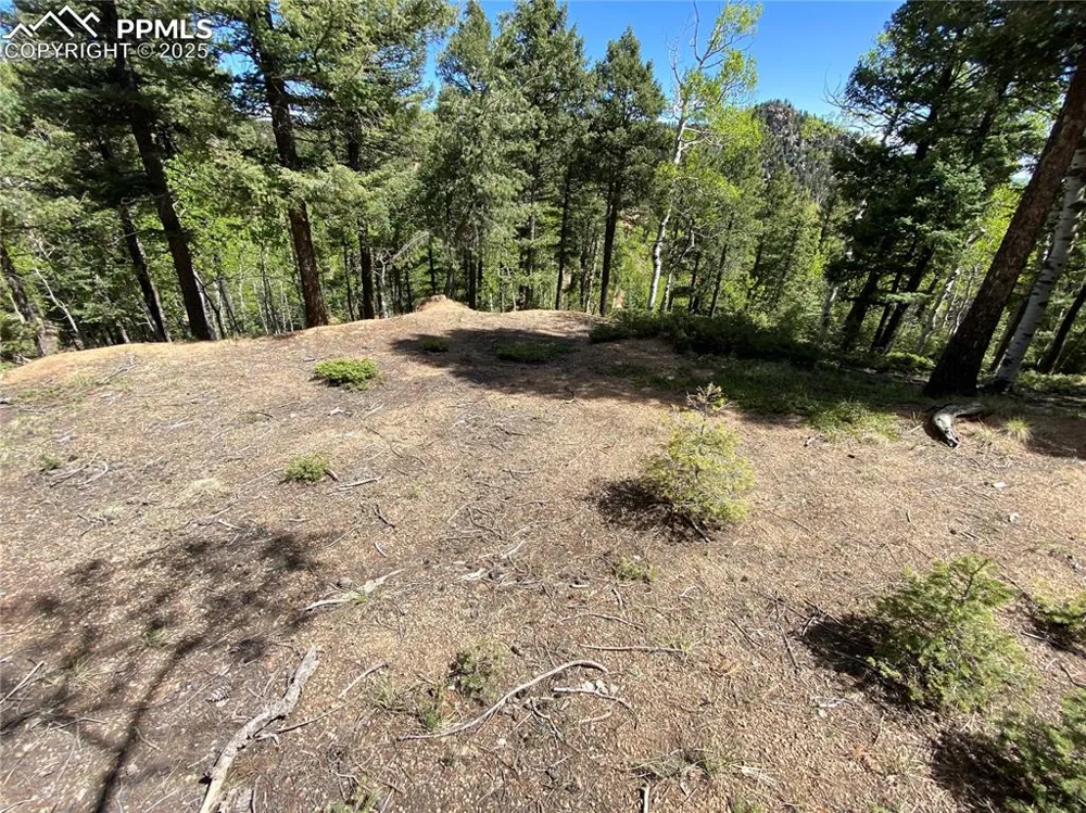 210 Waterfall Loop Manitou Springs, CO 80829
