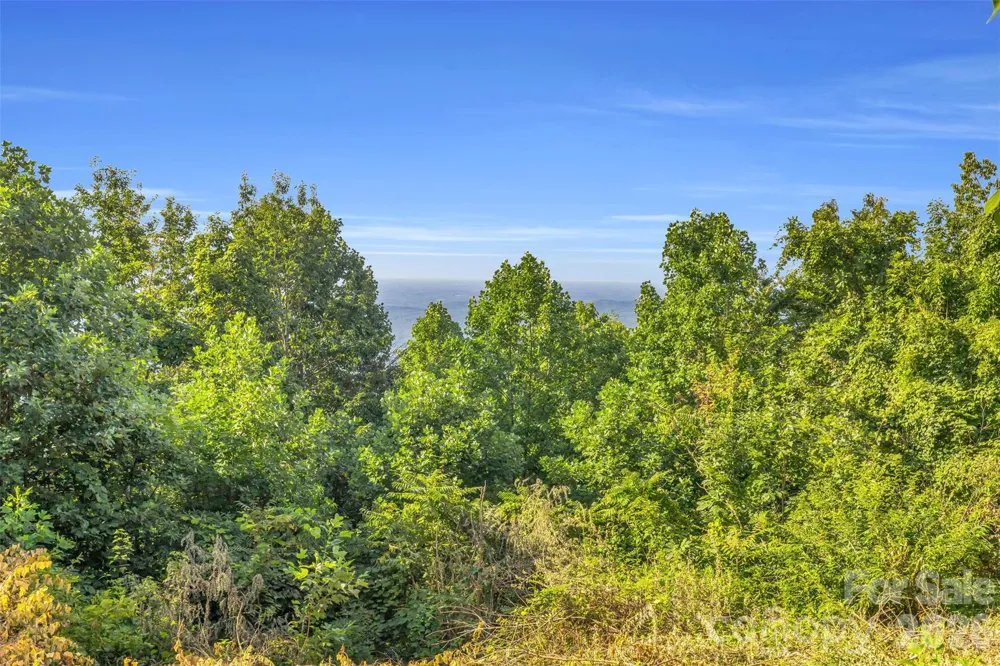 3605 Skyuka Mountain Road Columbus, NC 28722