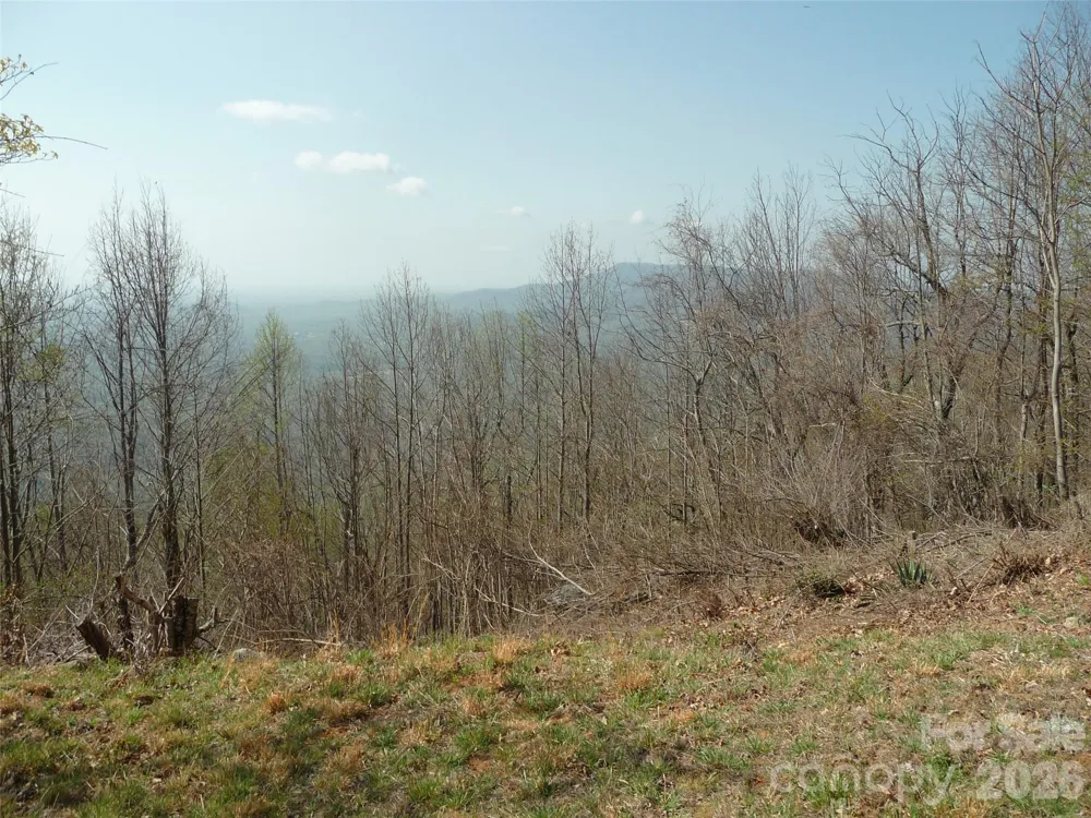 3605 Skyuka Mountain Road Columbus, NC 28722