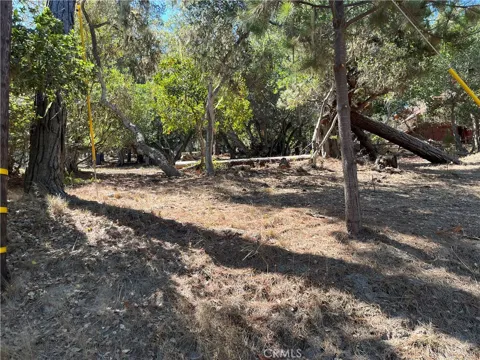 1840 Fern Drive
