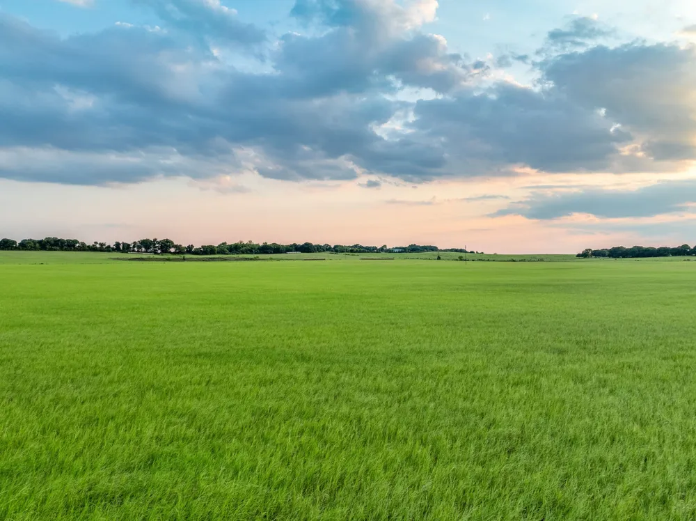 County Road 138 Comanche, TX 76442