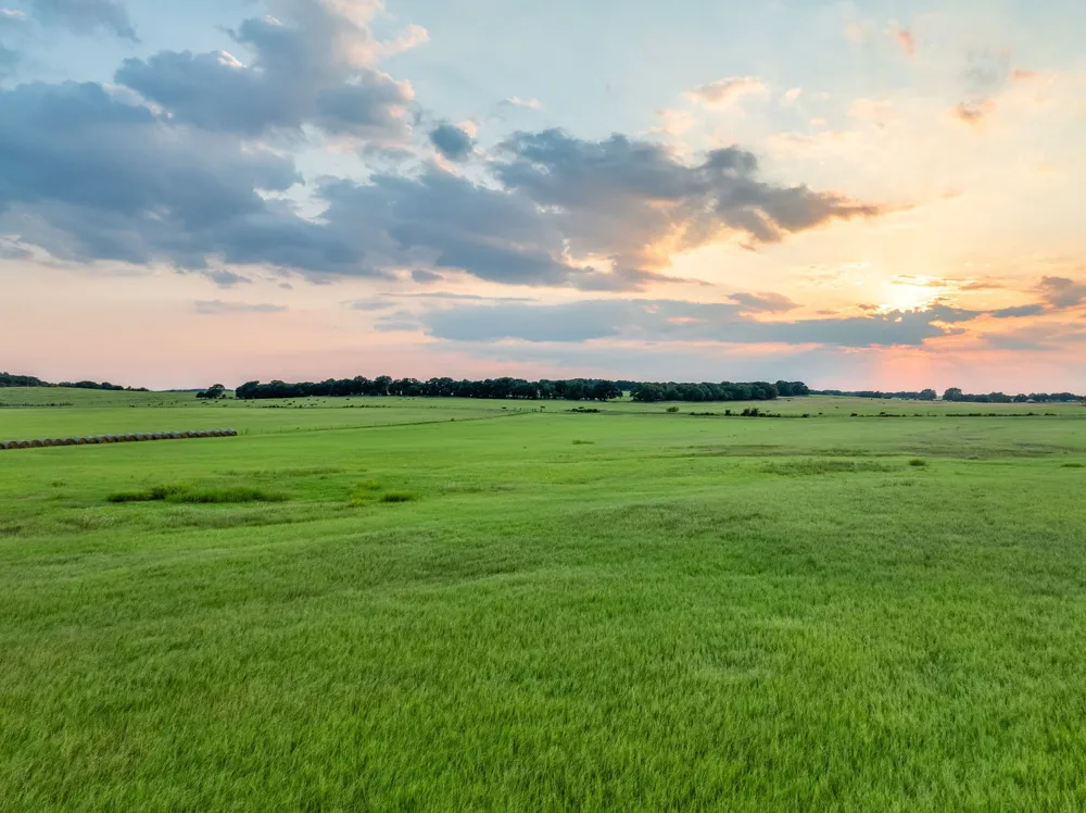 County Road 138 Comanche, TX 76442