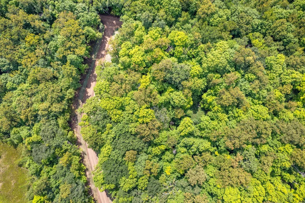 TBD Peninsula Lane Battle Lake, MN 56515