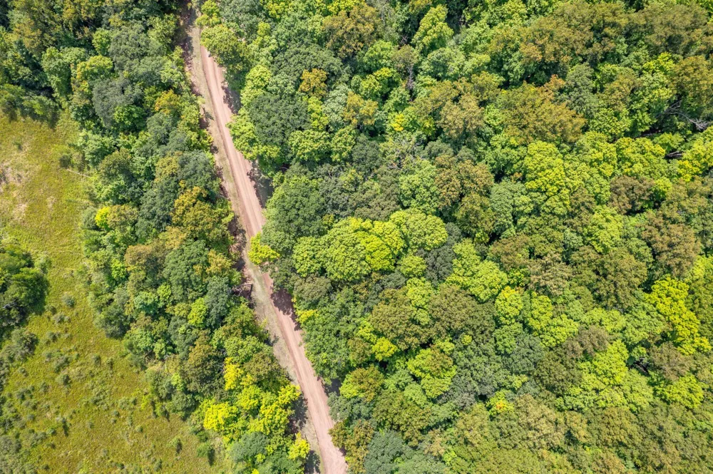 TBD Peninsula Lane Battle Lake, MN 56515