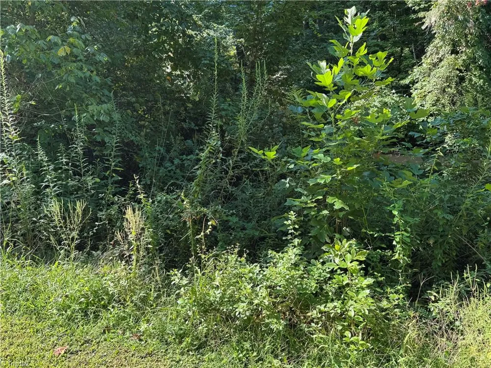0 Doral Drive Tobaccoville, NC 27050