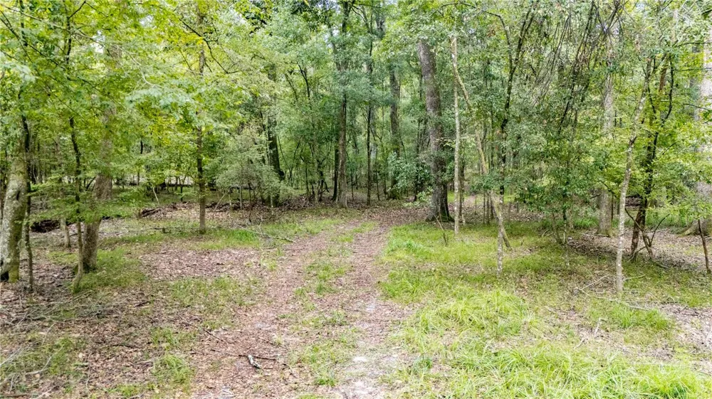 26840 NW 206TH PLACE High Springs, FL 32643