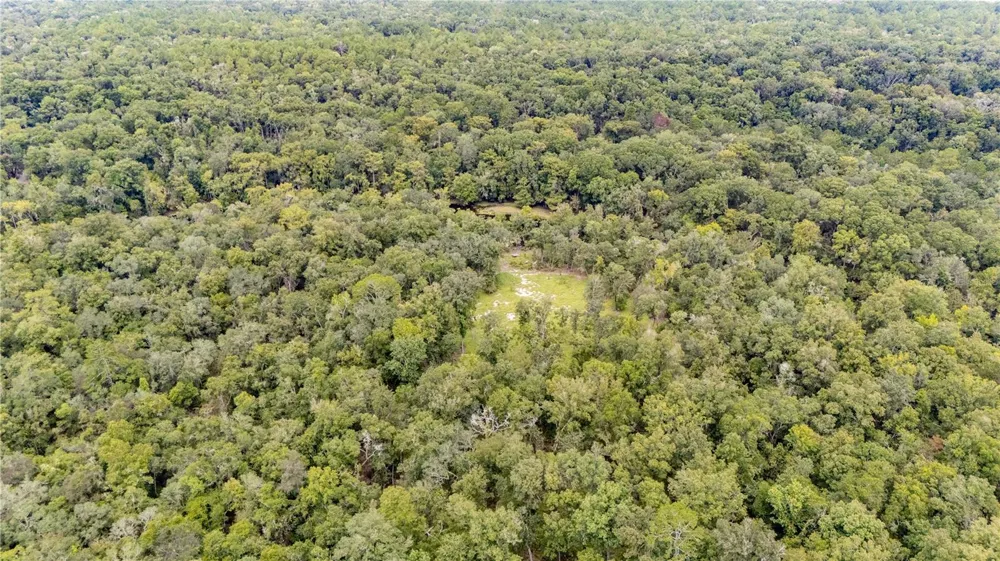 26840 NW 206TH PLACE High Springs, FL 32643