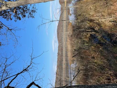 Lily Lake Road