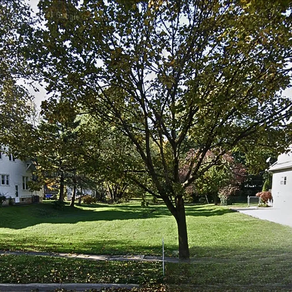 525 Macomb Street Monroe, MI 48162