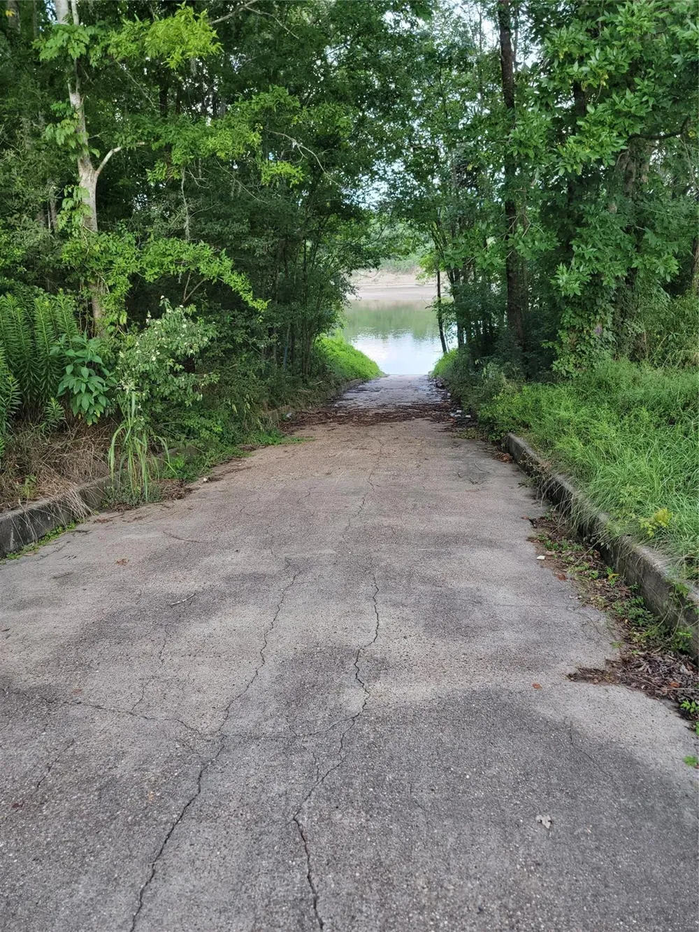 380 Cedar Valley Drive Coldspring, TX 77331