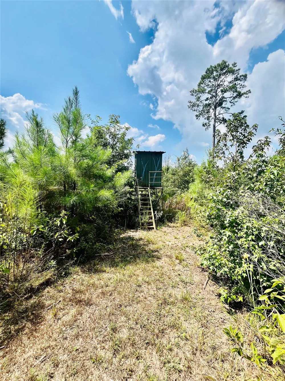 Nine Bridge Road Corrigan, TX 75939