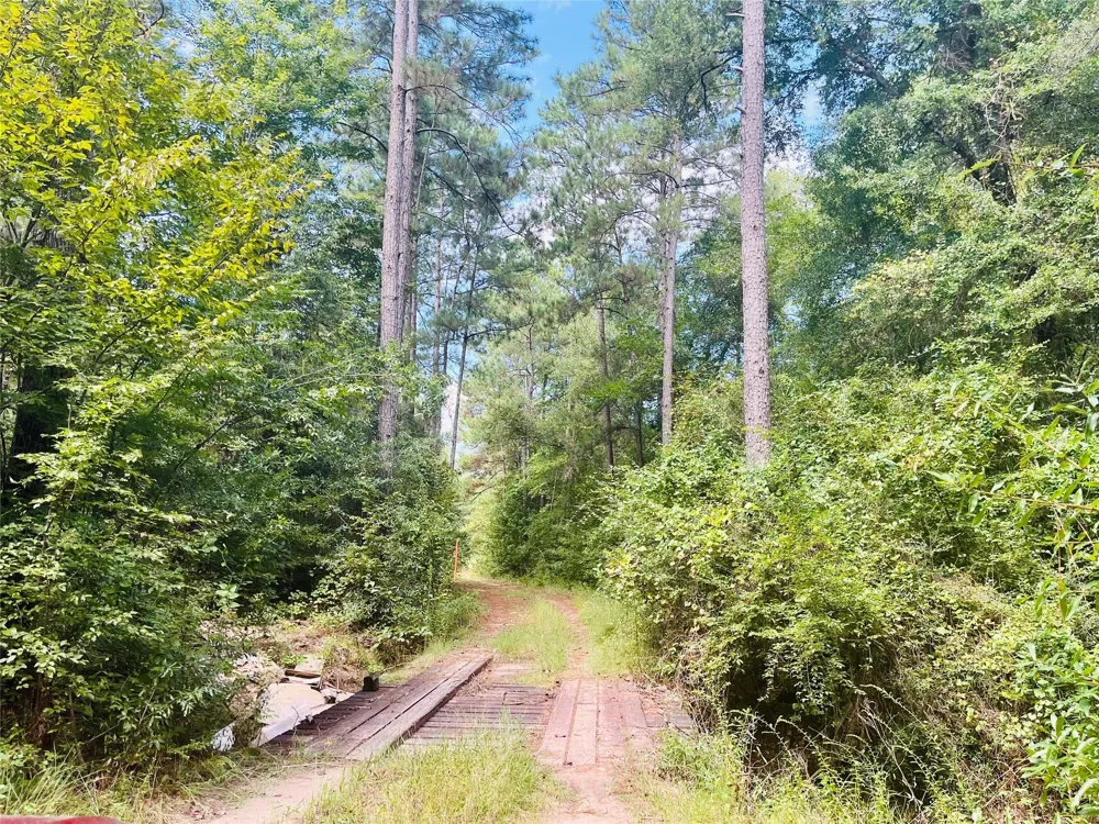 Nine Bridge Road Corrigan, TX 75939