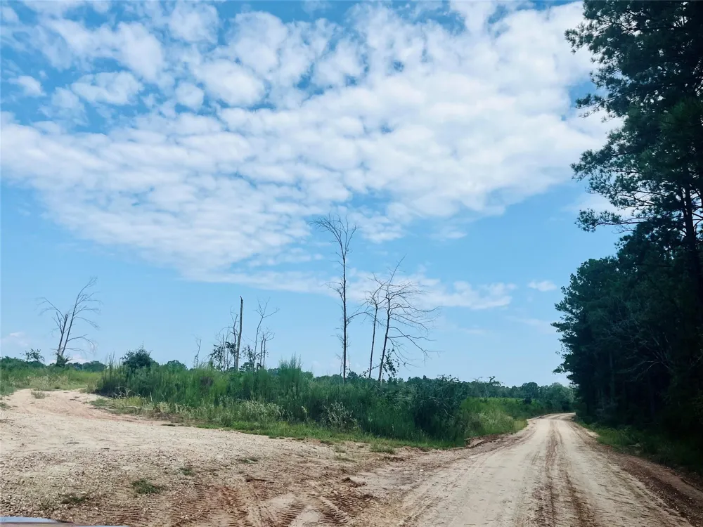 Nine Bridge Road Corrigan, TX 75939
