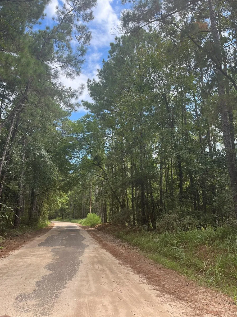 Nine Bridge Road Corrigan, TX 75939