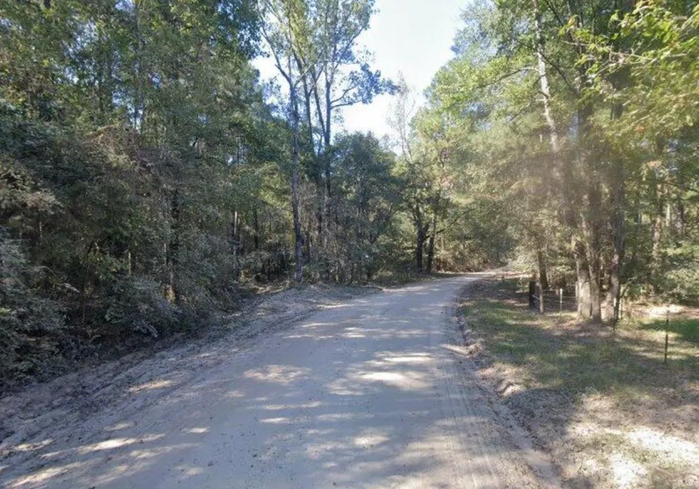 Nine Bridge Road Corrigan, TX 75939