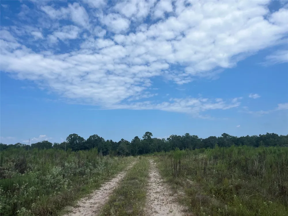 Nine Bridge Road Corrigan, TX 75939
