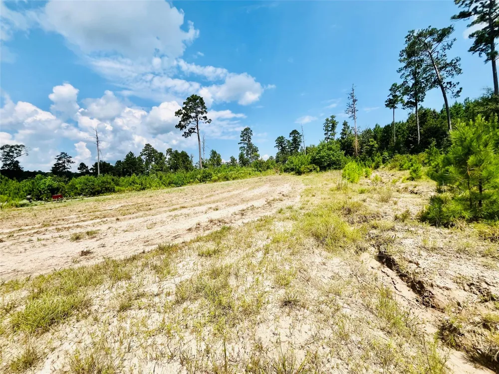 Nine Bridge Road Corrigan, TX 75939