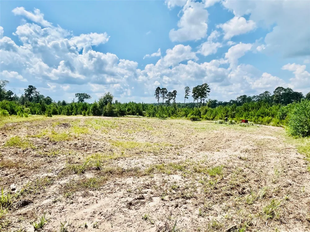 Nine Bridge Road Corrigan, TX 75939