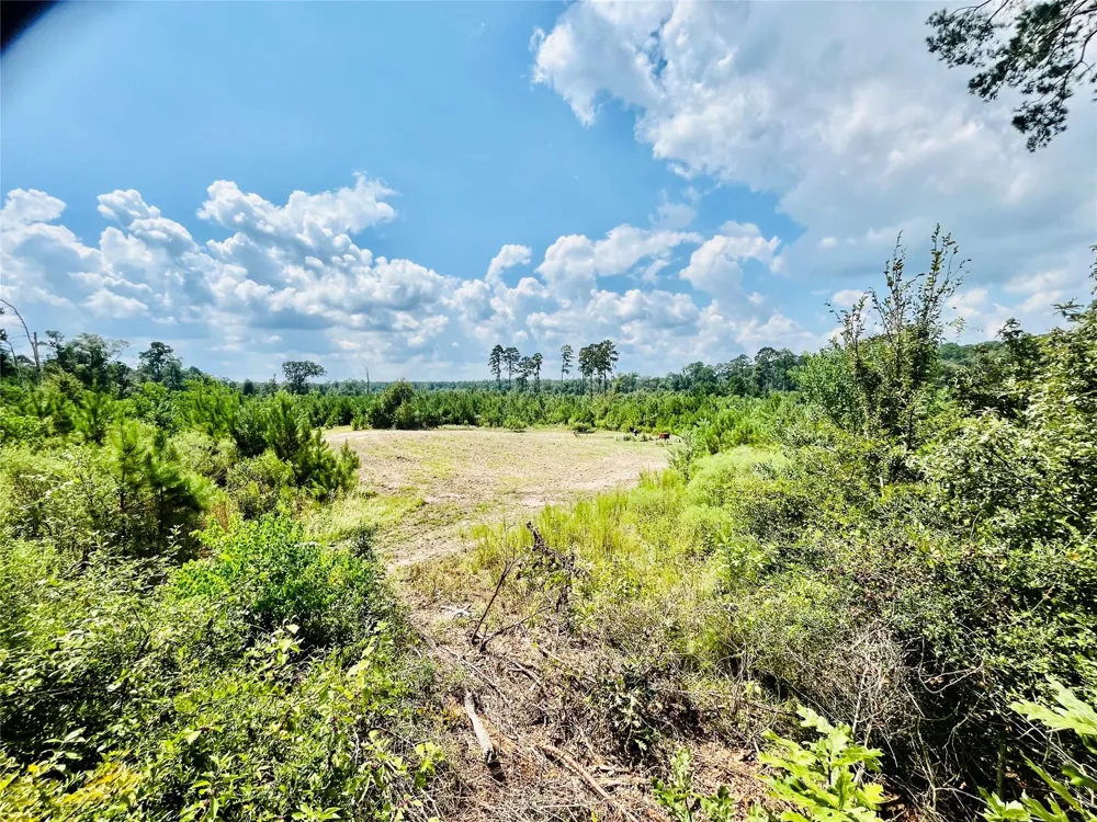 Nine Bridge Road Corrigan, TX 75939