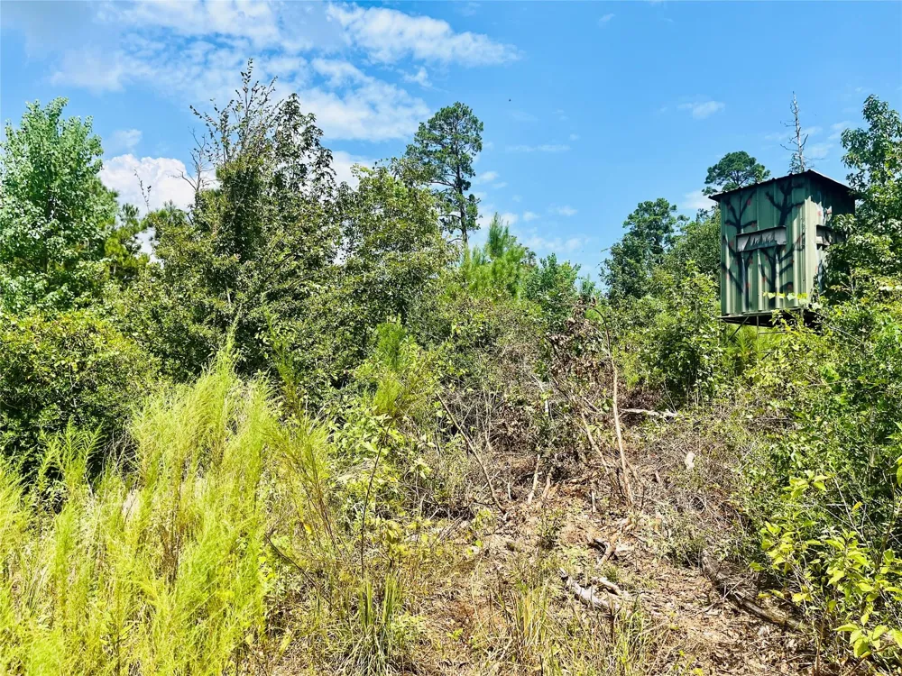 Nine Bridge Road Corrigan, TX 75939