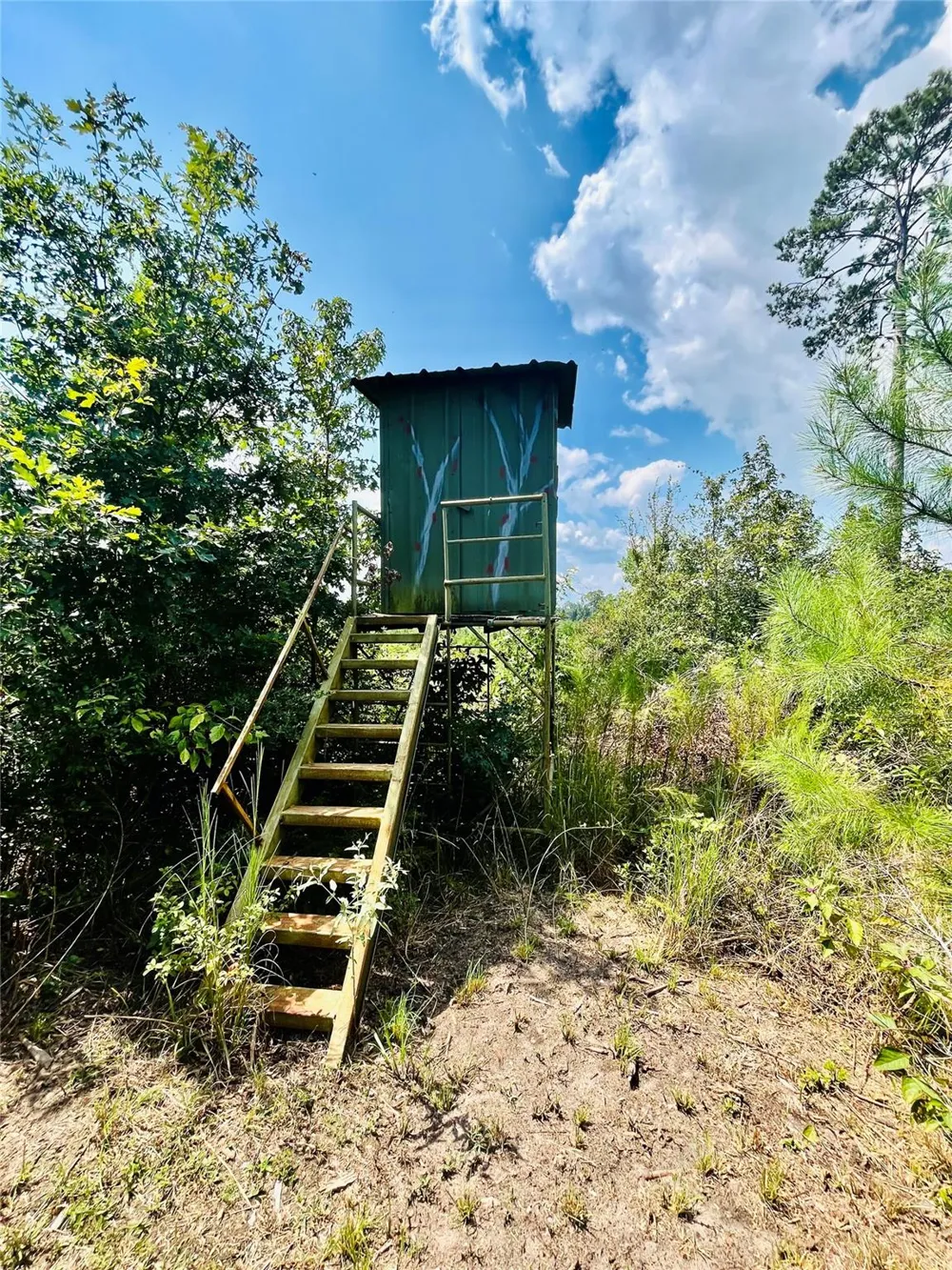 Nine Bridge Road Corrigan, TX 75939