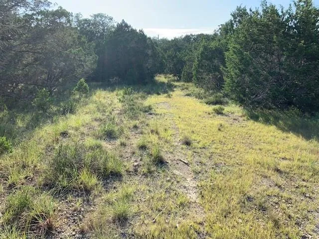 608 Gallagher Drive Canyon Lake, TX 78133