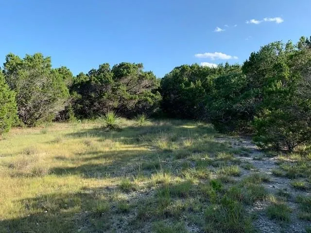 608 Gallagher Drive Canyon Lake, TX 78133