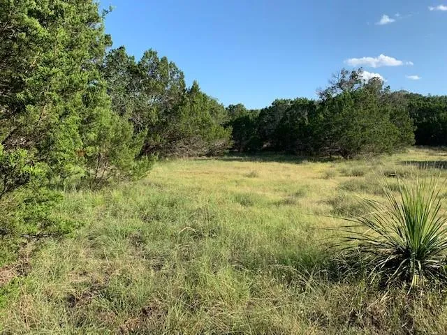 608 Gallagher Drive Canyon Lake, TX 78133