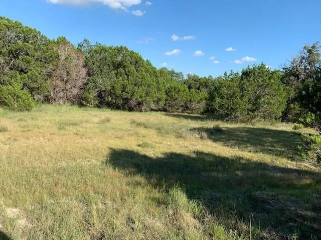 608 Gallagher Drive Canyon Lake, TX 78133