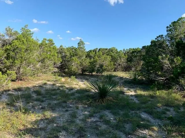 608 Gallagher Drive Canyon Lake, TX 78133