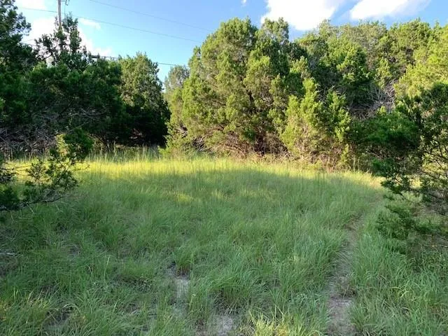 608 Gallagher Drive Canyon Lake, TX 78133