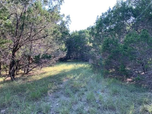 608 Gallagher Drive Canyon Lake, TX 78133