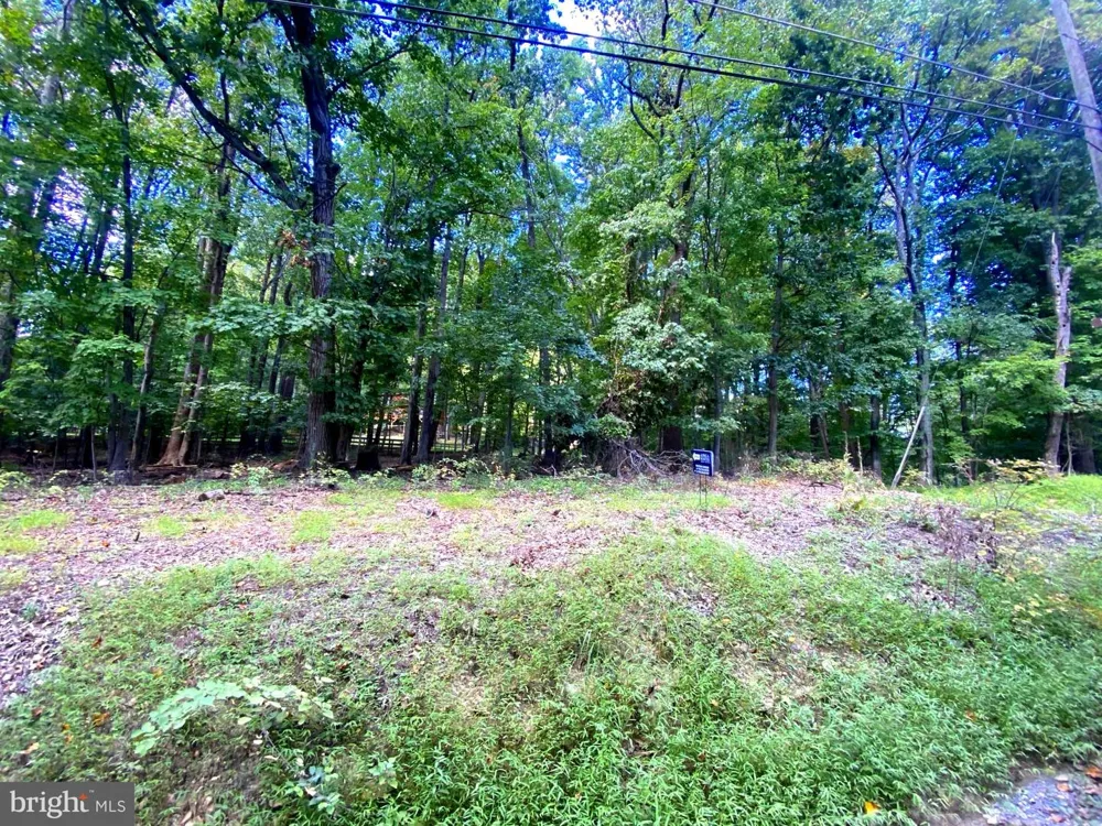 TIMBER LN Bluemont, VA 20135