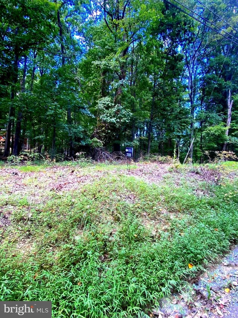 TIMBER LN Bluemont, VA 20135