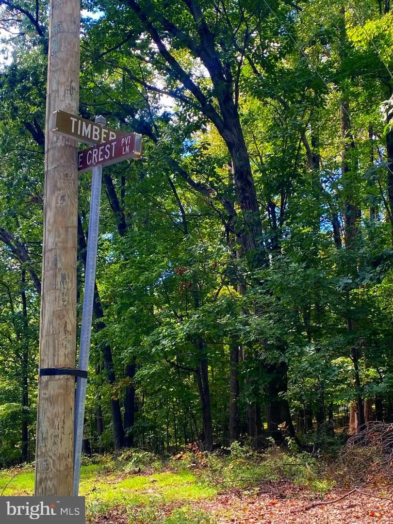 TIMBER LN Bluemont, VA 20135