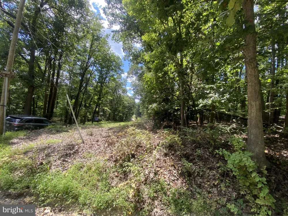 TIMBER LN Bluemont, VA 20135