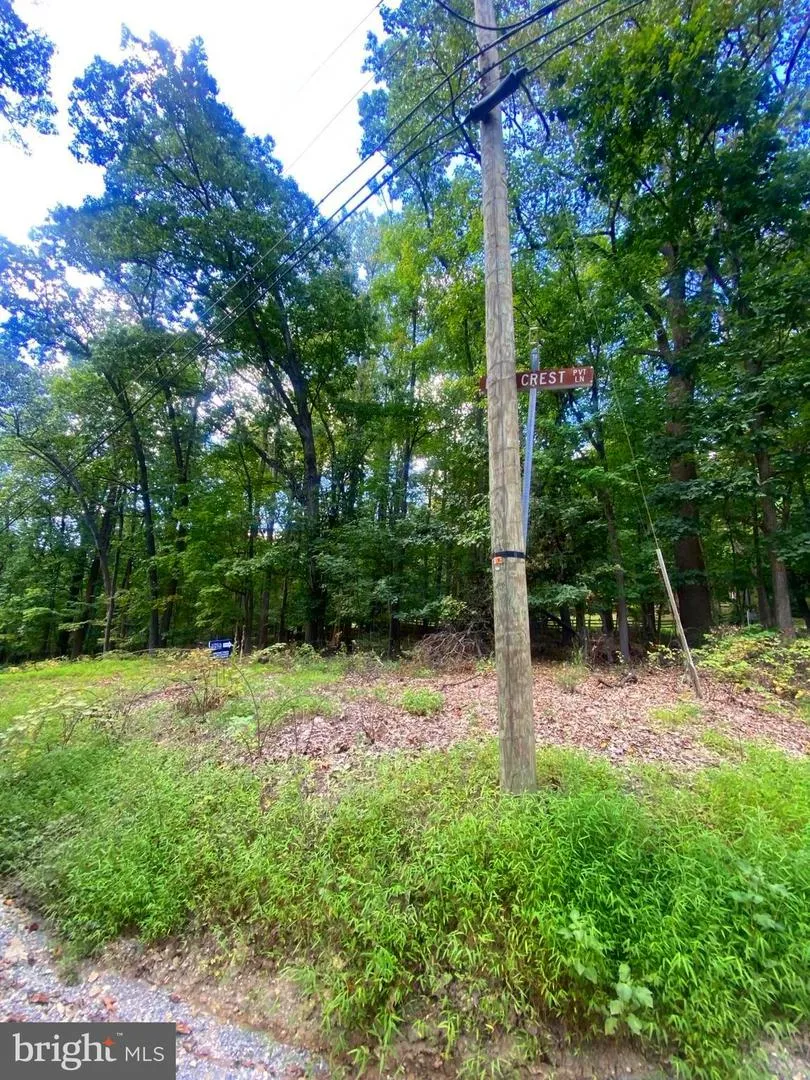 TIMBER LN Bluemont, VA 20135
