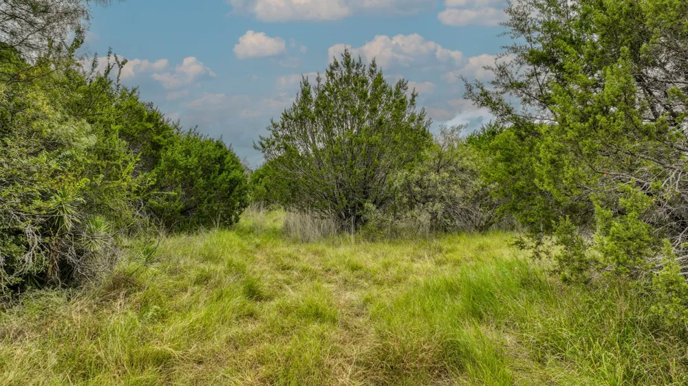9133 Mcarthur Court Tolar, TX 76476