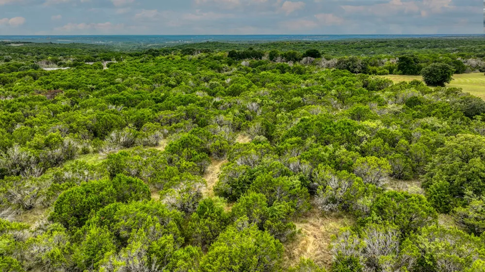 9133 Mcarthur Court Tolar, TX 76476