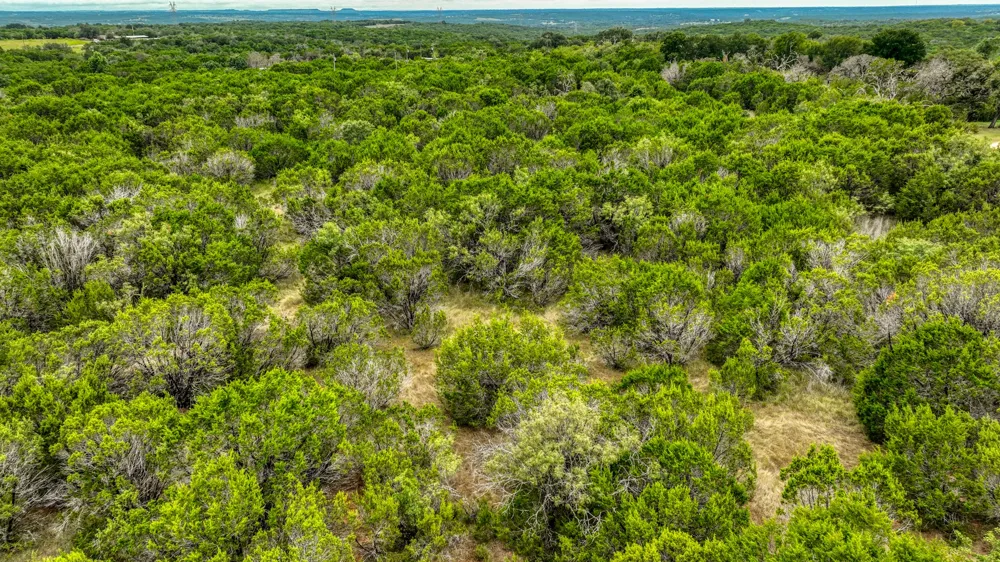 9133 Mcarthur Court Tolar, TX 76476