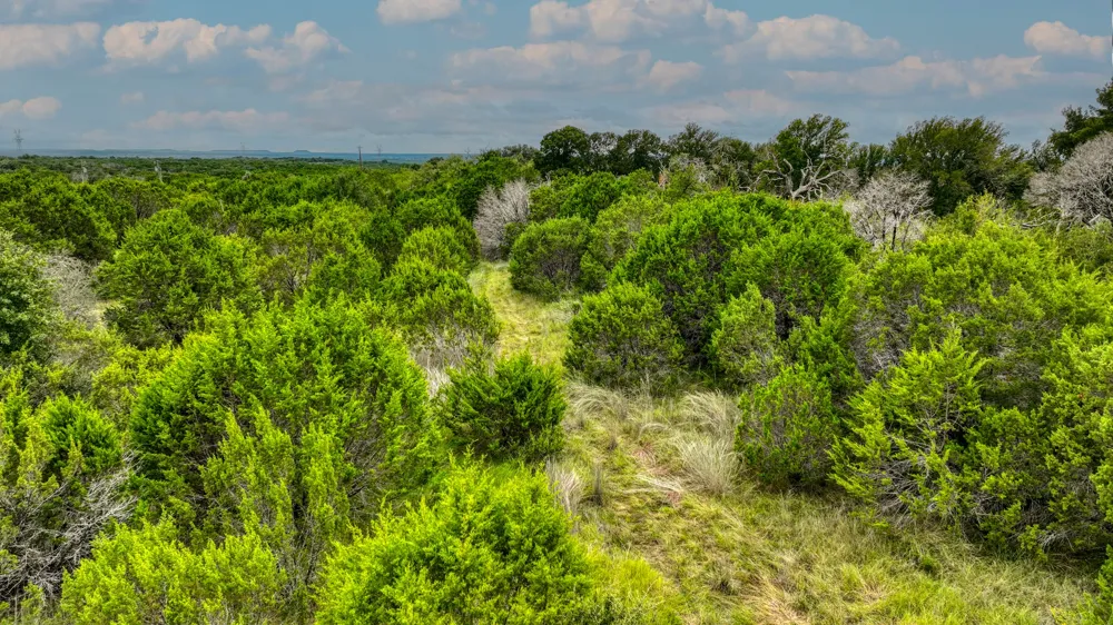 9133 Mcarthur Court Tolar, TX 76476